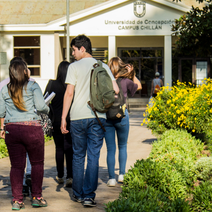 Universidad de Concepción Chillan